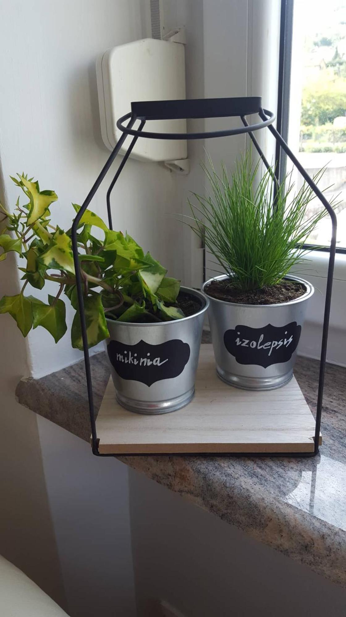 Apartment Greenhouse Опатія Екстер'єр фото